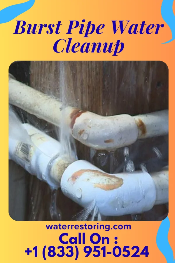 Burst Pipe Water Cleanup in Frisco, TX