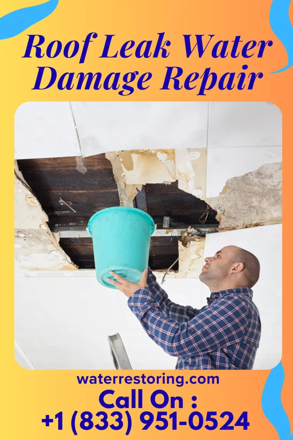 Roof Leak Water Damage Repair in Frisco, TX